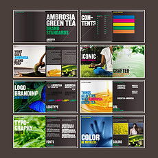 平面设计 从灵感到作品的视觉艺术之旅