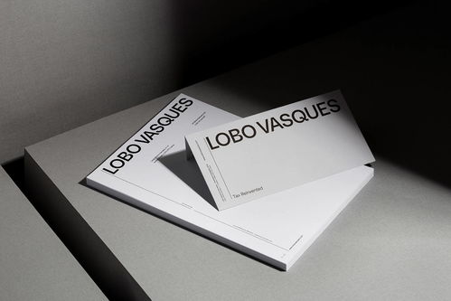 拉丁风范与司法权威的完美融合 Lobo Vasques 精品律师事务所品牌形象设计