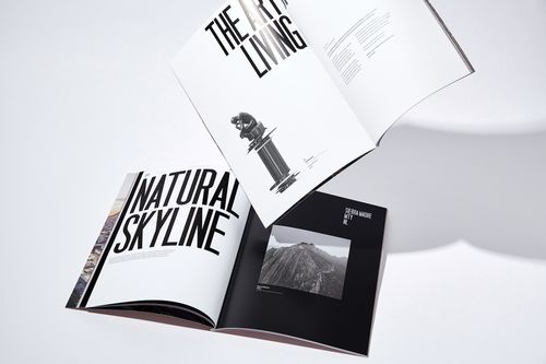 平面设计在Balzac房地产品牌形象塑造中的关键作用